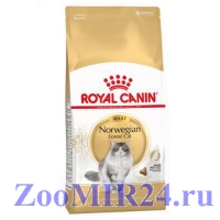 Royal Canin (Роял Канин) Norwegian Forect Cat Adult д/кошек породы Норвежская лесная