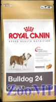 Royal Canin (Роял Канин) Английский бульдог 24