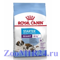 Royal Canin (Роял Канин) Giant Starter