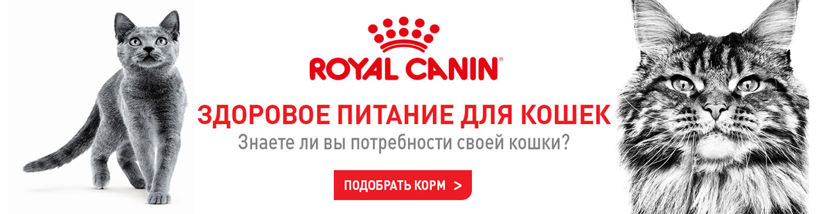 Акции на корма Royal Canin. Подробнее узнавайте у продавца. 